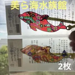 Okinawa Churaumi Aquarium book markerイルカ