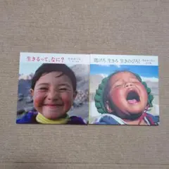 【匿名配送】たかのてるこ『生きるって、なに？』『逃げろ 生きろ 生きのびろ！』