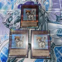 Item thumbnail for item a6e4323c-22fc-433f-aafa-0ba47b362848