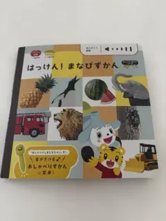 はっけん！まなびずかん