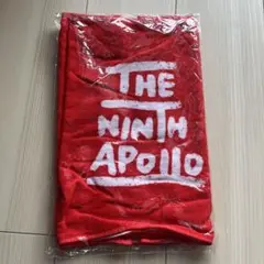 未開封品　THE NINTH APOLLOタオル　マイヘア ハルカミライ