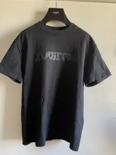 2022SS ルイヴィトン テルモプリントTシャツ S