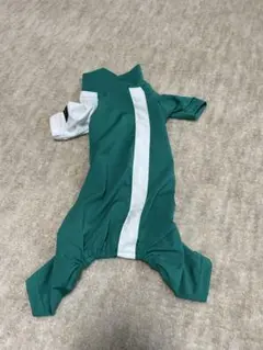 Item thumbnail for item 07e4364a-9420-4e3a-8ba9-f33f9663489d