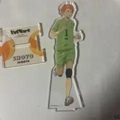 ハイキュー　思い出のシーン 日向翔陽 アクリルスタンド