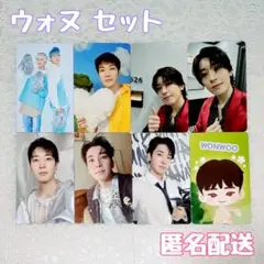 SEVENTEEN トレカ ウォヌ 8枚 まとめ売り