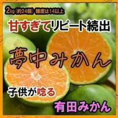夢中みかん 減農薬の有田みかん 2kg YN-26