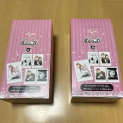 ピンクとハバネロ ぱしゃこれ 2BOX ボックス 黒瀬慧 宮尾麦