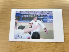 千葉ロッテマリーンズ　シークレットチェキ　藤岡裕大