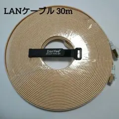 CAT8 LANケーブル 30m 超高速インターネットケーブル　ゴールド