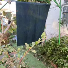 Item thumbnail for item cef35f16-f23a-4a58-81d8-13438ea19f4f