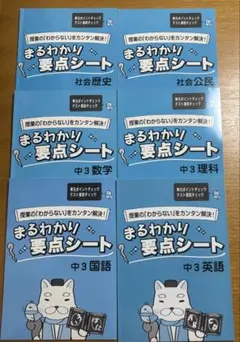 Item thumbnail for item 8079e617-a462-485b-9783-1131c4a13d3d