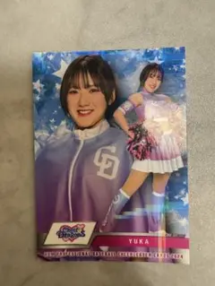 Item thumbnail for item 873cbc1d-f7f6-4c65-9c17-9df72e23a34e