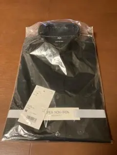 Item thumbnail for item 85aaf123-7e57-4fa3-83e1-9457d2b8bf08