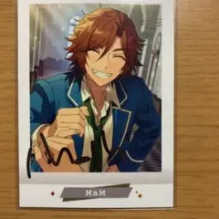 三毛縞斑パシャこれ箔押し