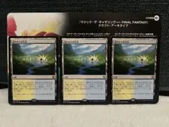 MTG 溢れかえる岸辺 Flooded Strand 3枚