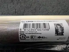 ガスト30周年プレミアムライブ くじ B賞 B2タペストリー ソフィー