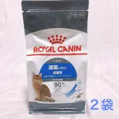 Item thumbnail for item f6c5acc6-c391-466b-a004-c8538e9055ca