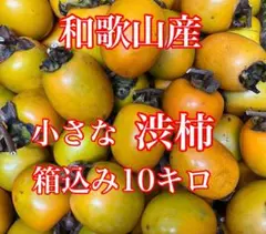 和歌山産 渋柿 箱込み10キロ 小さなつるし柿 干し柿