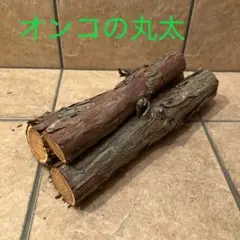 Item thumbnail for item 94b13b49-c3a1-4438-bdc0-b876ffb6c358