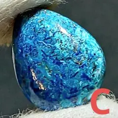 Item thumbnail for item 74371e2e-855d-46ac-9233-96ee3b5f0960
