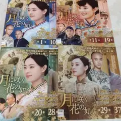 月に咲く花の如く DVD スン・リー 全37巻 レンタル落ち 中国