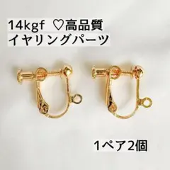 Item thumbnail for item 482a321c-1fed-4570-9653-0065f357a5c1