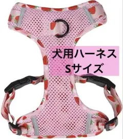 Item thumbnail for item dd2a59a6-0fa1-440d-8fc4-9c7797446a78