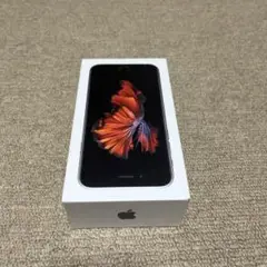 箱と装備品全て　アイフォン6S Apple iPhone 6s 充電器　解除キー