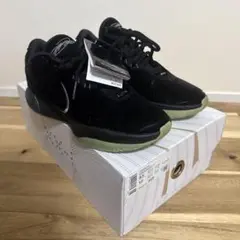 未使用　ナイキレブロンXXI 21 26.5㎝