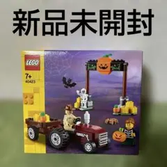 LEGO 40423 ハロウィンセット　ハロウィンのハイランド