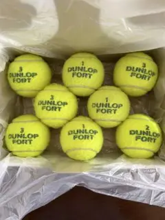 DUNLOP FORT テニスボール 8個セット