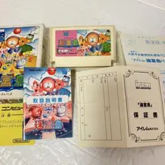 完品 FC ファミコン 迷宮島 アイレム irem ファミリーコンピュータ