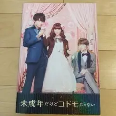 映画パンフレット 未成年だけどコドモじゃない 中島健人 平祐奈  知念侑季