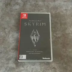 スカイリム Switch ソフト