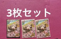 うたプリ シャニライ ビジュアルコレクションカード 黒崎蘭丸 3枚セット