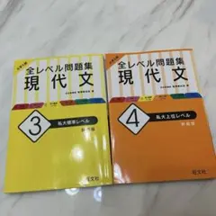 大学入試 全レベル問題集 現代文 3 私大標準レベル 4私大上位レベル