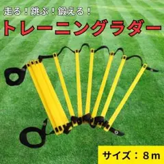 トレーニング ラダー 8m 16枚 サッカー 陸上 フィットネス 球技の練習