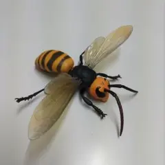スズメバチ　フィギュア