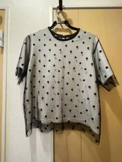 SIPSドット柄シースルー半袖トップス
