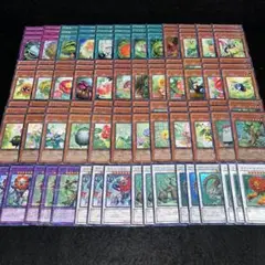 14504 遊戯王　ナチュルデッキ　DT/ターミナル　デッキパーツ