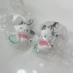 ポチャッコ　めじるしアクセサリー　サンリオ　エモきゅん