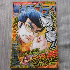 週刊漫画ゴラク　8/22.29号