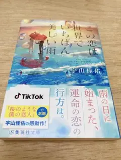 この恋は世界でいちばん美しい雨