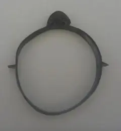 Item thumbnail for item bb8bc7a5-4e71-4b92-8320-c11c2059fafb