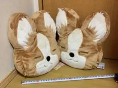 Item thumbnail for item 2e103976-cf19-436b-bb5c-654ae9fefe74