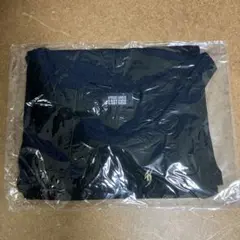 Item thumbnail for item 734d5387-e0d8-428a-80ce-08abb2790f5e