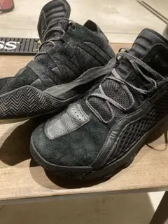 Item thumbnail for item 8e5d8029-5708-4a7d-bf50-749291fa323b