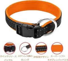 Item thumbnail for item 4d867e9d-eb02-4194-9453-111f1f7ab13c