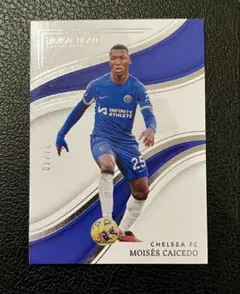 40枚限定 2023-24 Panini モイセス・カイセド　チェルシー