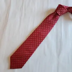 〈美品〉Vizantina Fazio ネクタイ レッド 総柄 四角 即日発送